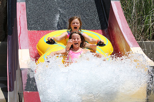 ho-wild-west-cat-image-girls-on-slide